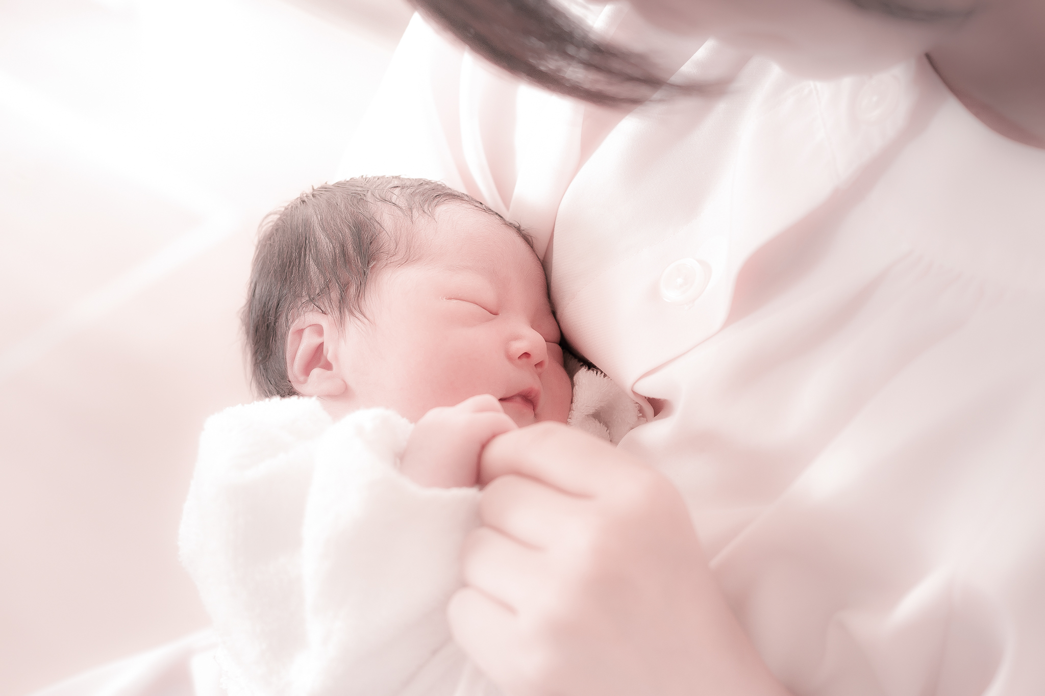 プロカメラマン撮影の様子